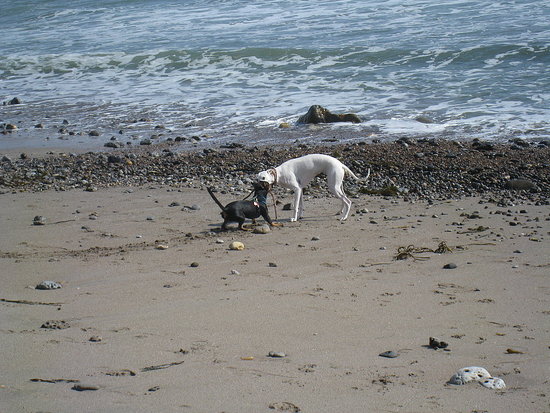 Image Image